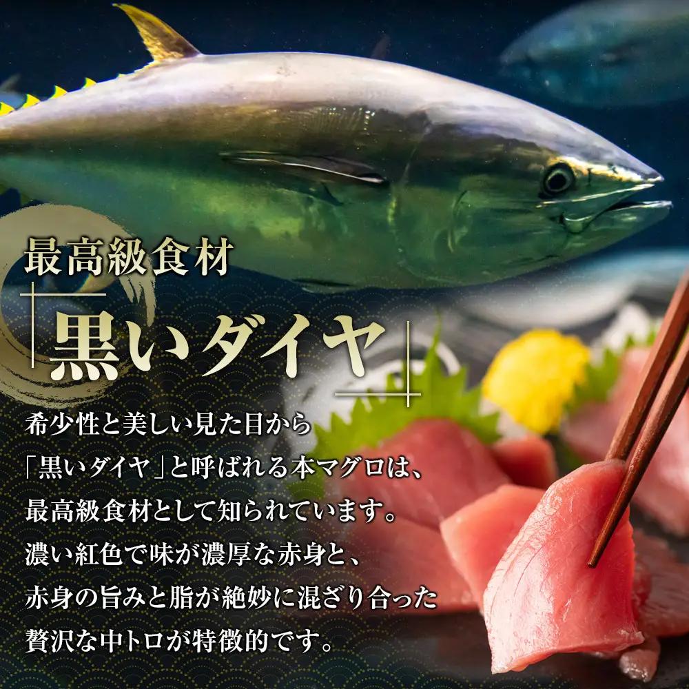 鹿児島県奄美大島産高級食材『黒いダイヤ』黒マグロ　Aセット