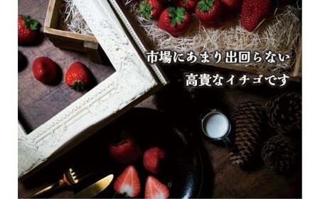 [1月以降発送] [期間限定] 栃木県産 いちご ロイヤルクイーン12～15粒 先行予約 選べる発送月｜栃木県産 矢板市産 フルーツ スイーツ デザート 果物 果実 産地直送 栃木県 矢板市