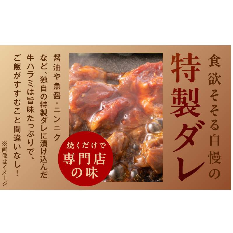 牛ハラミ 暴れ盛り 総量 1.15kg 小分け 牛肉 肉コンシェルジュ厳選 期間限定 099H2839_イメージ4