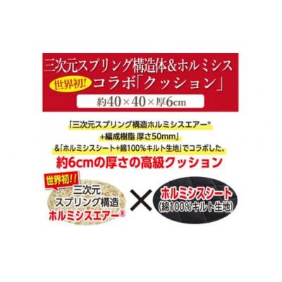 ふるさと納税 玖珠町 ホルミシスエアー すごいクッション