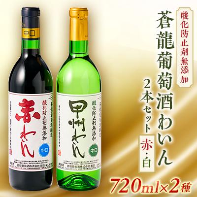 ふるさと納税 山梨県 山梨の地ワイン2本セット(蒼龍葡萄酒　赤白)