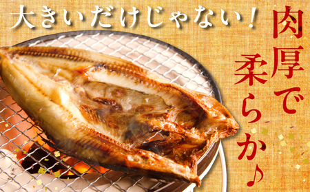 【北海道浜中町産】天日干し真ほっけ開き（大サイズ×3枚）　北海道 浜中町産 天日干し 真ほっけ開き 大サイズ × 3枚 干物 BBQ ギフト グルメ 食品 海鮮 魚介類 海の幸 海産物 加工品 ご飯の