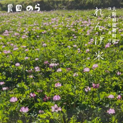 ふるさと納税 能勢町 令和7年産コシヒカリ「レンゲ米」玄米10kg(栽培期間中農薬・化学肥料不使用) |  | 02