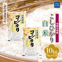 【ふるさと納税】 令和6年産 真室川町 コシヒカリ ＜白米＞ 10kg（5kg×2袋）