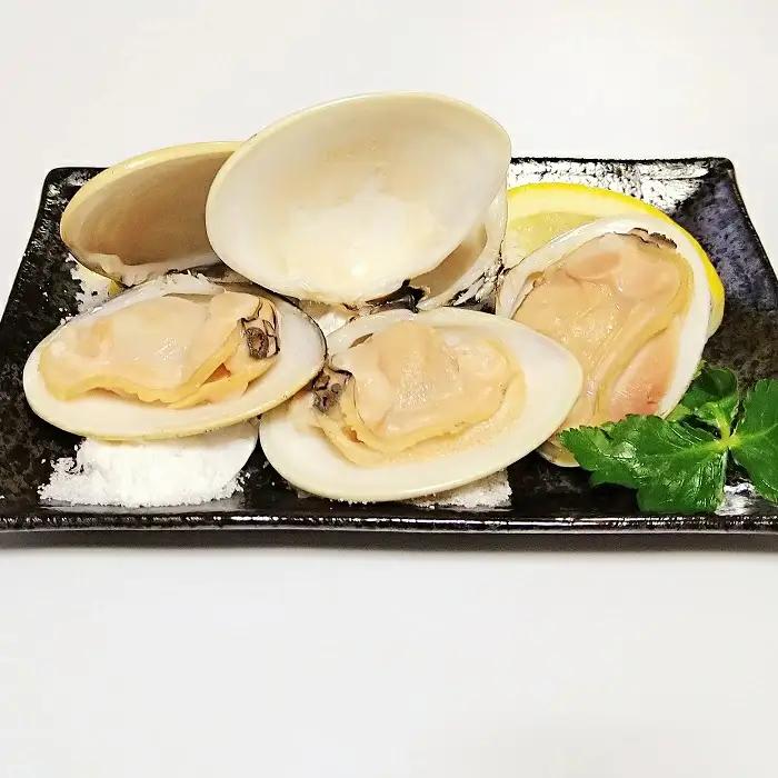 九十九里産 大粒 天然はまぐり3.1kg SHF002/ 絶品天然はまぐり 万能食材天然はまぐり 九十九里産天然はまぐり 蛤 ハマグリ海鮮 貝 貝類 
