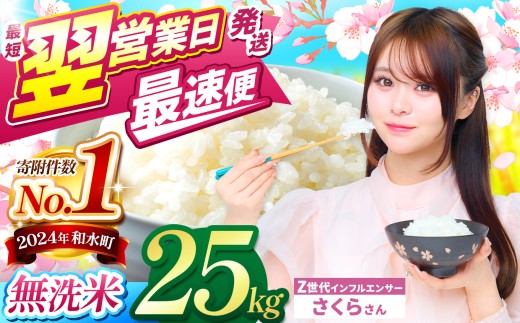 【 最短 翌営業日 ～ 7営業日で発送 】【 チョイス限定 】 熊本県産 ほたるの灯り 無洗米 選べる 25kg | 令和7年産 小分け 5kg 単位 5kg 10kg 15kg 20kg 25kg 30kg 熊本県 熊本 くまもと 和水町 なごみ 訳あり 規格外 不揃い 単一米 単一原料米 ブレンド 複数原料米 こめ 米 ごはん 銘柄米 日本遺産 菊池川 返礼品 SDGs  無洗米 独自ブレンド