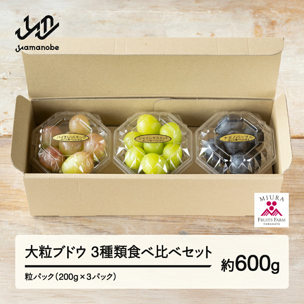 【ふるさと納税】 《先行予約》2026年 山形県山辺町産 大粒ブドウの3種類食べ比べセット！粒パック600g（200g×3)　2026年9月中旬から順次発送 送料無料 F21A-242