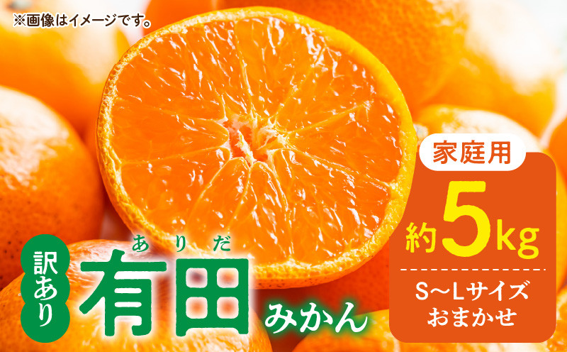 
                  DZ6202_【2026年先行予約】ご家庭用 有田みかん 和歌山県産 S～Lサイズ 大きさお任せ5kg
                