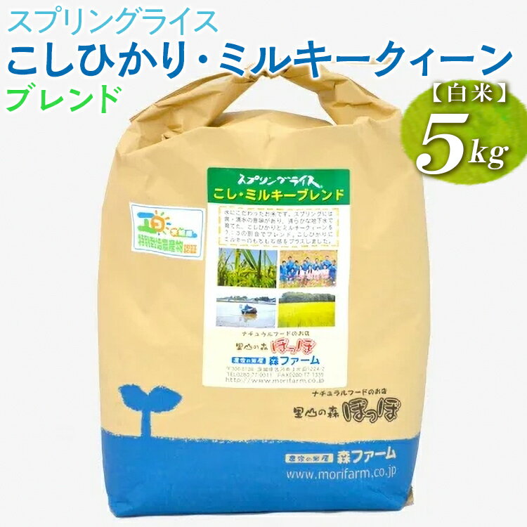【ふるさと納税】スプリングライス こしひかり・ミルキークィーン ブレンド (白米)5kg ｜米 コメ こめ ごはん ご飯 ゴハン 白飯 スプリング ライス コシヒカリ ミルキー クイーン ブレンド 水へのこだわり 地下水 5kg 贈答 白米 精米 ギフト 贈答_BI27