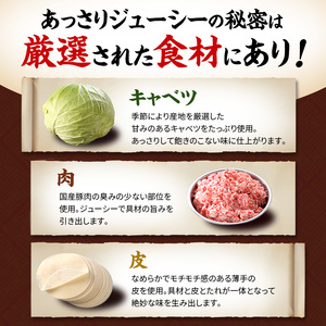 餃子 浜松餃子 石松 食べ比べセット 58個 餃子