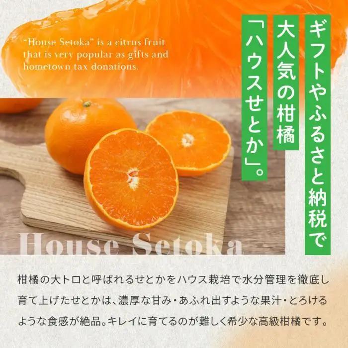 完熟ハウスせとか 3kg |瀬戸内産 せとか