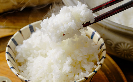 秦野のお米「さとじまん」10kg｜令和7年産米