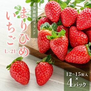 まりひめイチゴ12粒～15粒×4パック【配送不可地域：離島】【1603380】
