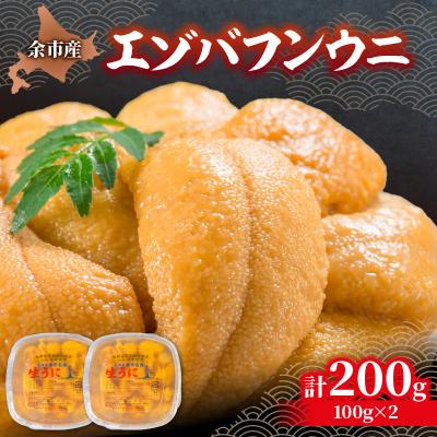 ふるさと納税 余市町 【先行受付:2026年6月以降発送】余市産「塩水うに(エゾバフンウニ)」_Y006-0036