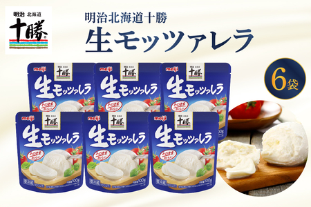  明治 北海道 十勝 チーズ 生モッツァレラ 6個 セット 100g×6袋 おつまみ 冷蔵便 詰め合わせ チーズ cheese CHEESE 乳製品 生乳 凝縮 ミルク 新鮮 パック お取り寄せ サラダ カプレーゼ ピザ トースト 芽室町me003-070c