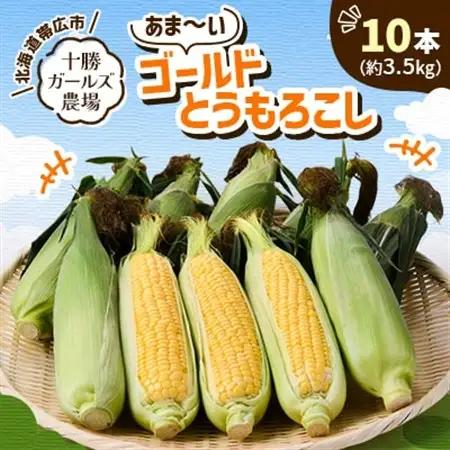 先行受付【十勝ガールズ農場】直送 朝もぎつぶつぶ「あま～いゴールドとうもろこし」10本【配送不可地域：離島】【1462030】