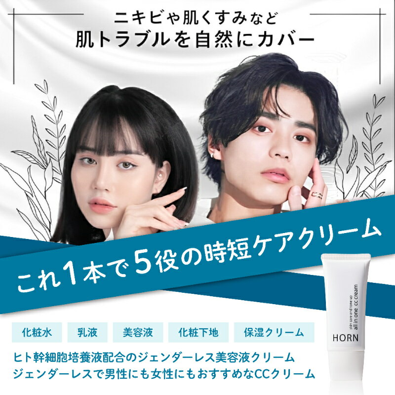 【ふるさと納税】 オールインワンCCクリーム HORN（ ホルン ） オールインワンCCクリーム 50g×2本 美容液 クリーム ジェンダーレス 時短 ケア スキンケア 化粧 下地 トーンアップ 肌 千葉県 旭市 株式会社HORN