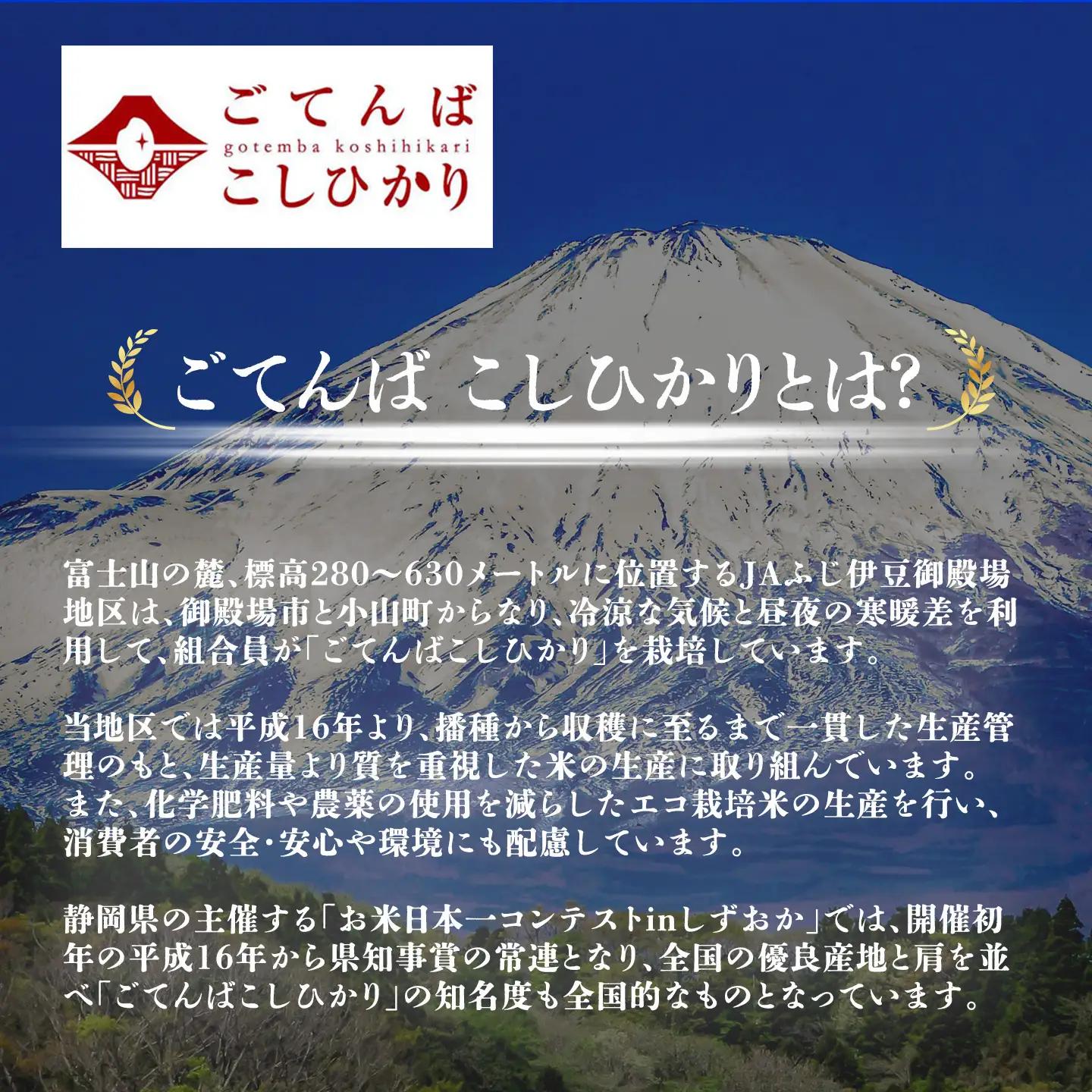 先行予約 令和8年産 精米 こしひかり 10kg コシヒカリ