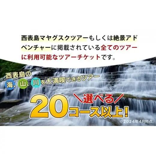 旅行券 沖縄 チケット 西表島 アクティビティ ツアーチケット 3,000円 旅行 旅行 体験 観光 