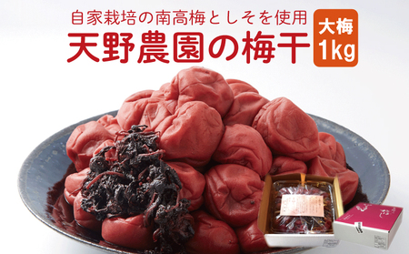 天野農園の梅干し 1kg (大梅) すっぱい梅干し 保存料不使用 梅干し 着色料不使用 梅干し 梅干し 梅干し 