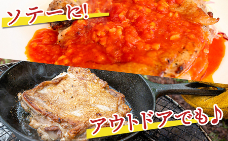 【業務用】九州産鶏モモ4kg_13-1502_(都城市) 九州産鶏 もも肉 唐揚げ チキン南蛮 煮物 鍋物