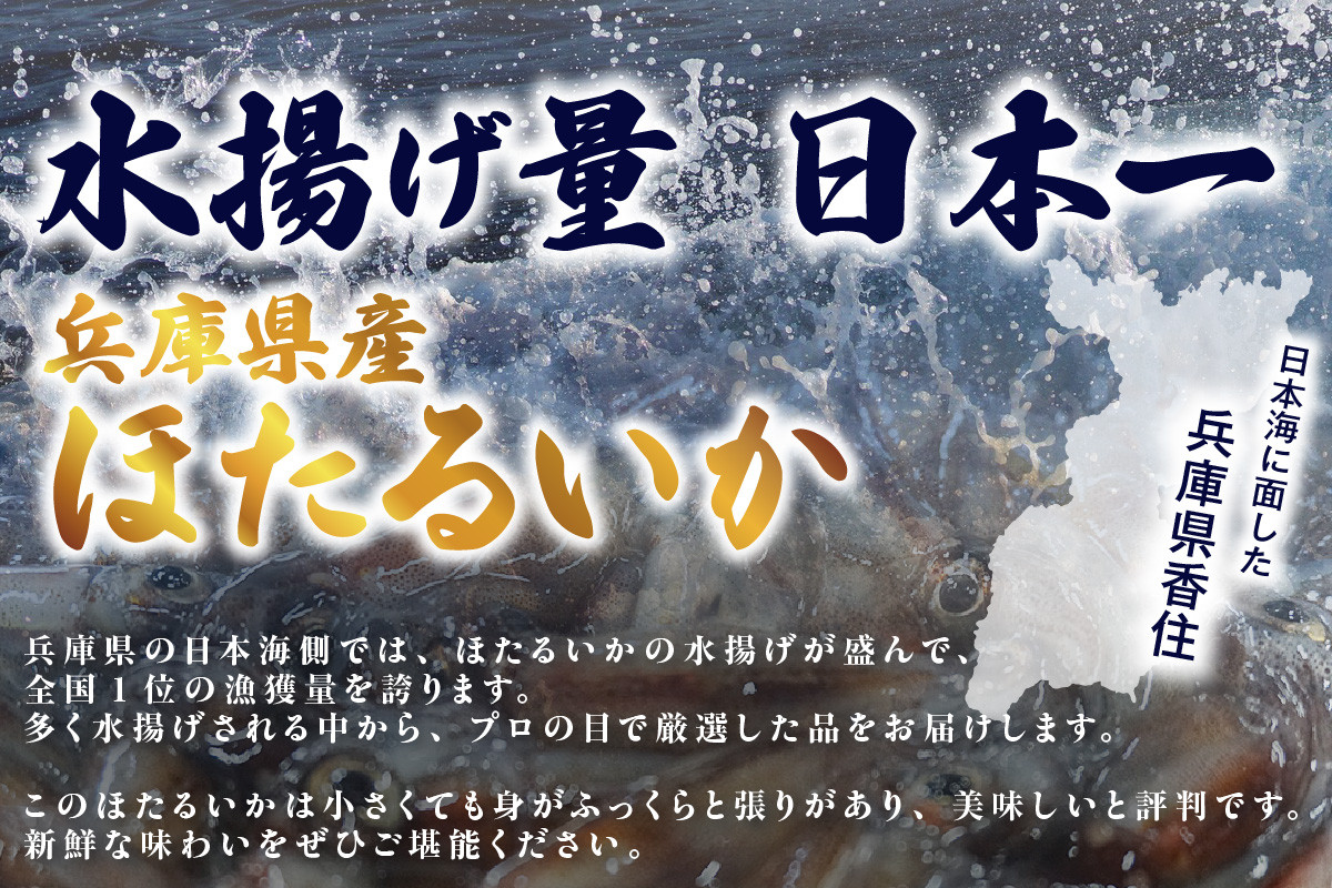 ほたるいか水揚げ量日本一！！