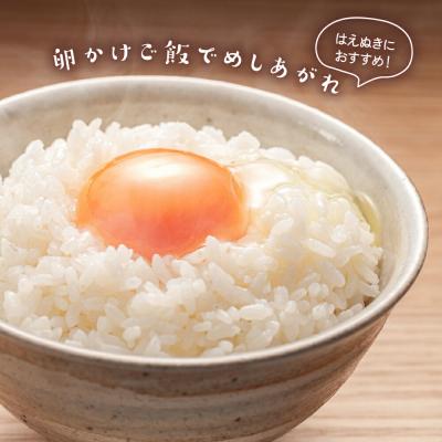 ふるさと納税 米沢市 【 3ヶ月定期便 / 令和7年産 】 はえぬき 計10kg/月 ( 1回配送 5kg×2袋 ) |  | 02