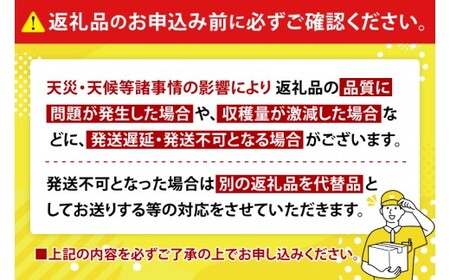 【2026年6月下旬より順次発送】マンゴーの里！豊見城市産♪あま?い♪アップルマンゴー 約1kg(2～3玉)(家庭用) (BV010-1)