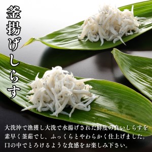 しらす 3種食べ比べセット 3kg 釜揚げしらす しらす干し ちりめん しらす _AG017
