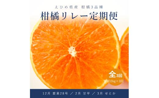 【全3回】松山柑橘リレー定期便 家庭用 各回2kg / 愛果28号 (紅まどんなと同品種)･甘平･せとか | 愛媛三大高級柑橘 あいか まどんな かんぺい セトカ 愛媛みかん フルーツ 柑橘 果物 高級 人気 お取り寄せ 送料無料 愛媛県 松山市