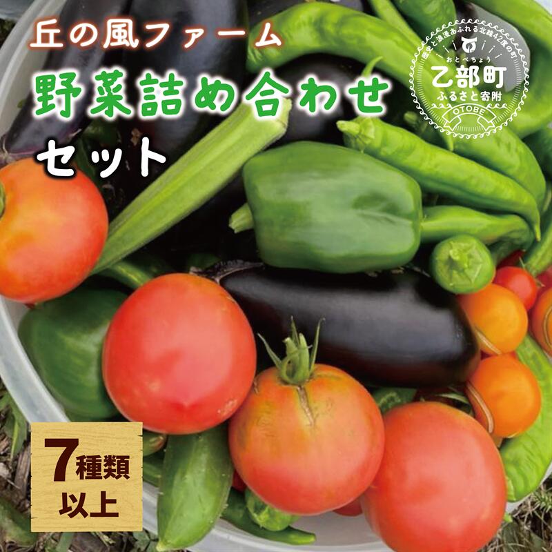【ふるさと納税】＜丘の風ファーム 旬野菜詰め合わせセット＞