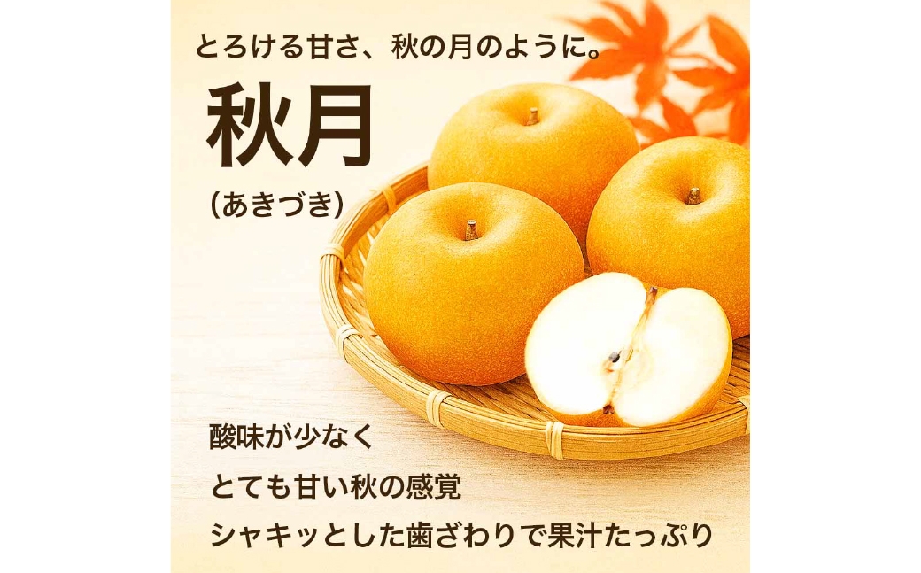 秋月梨約5kg（6～18玉）
