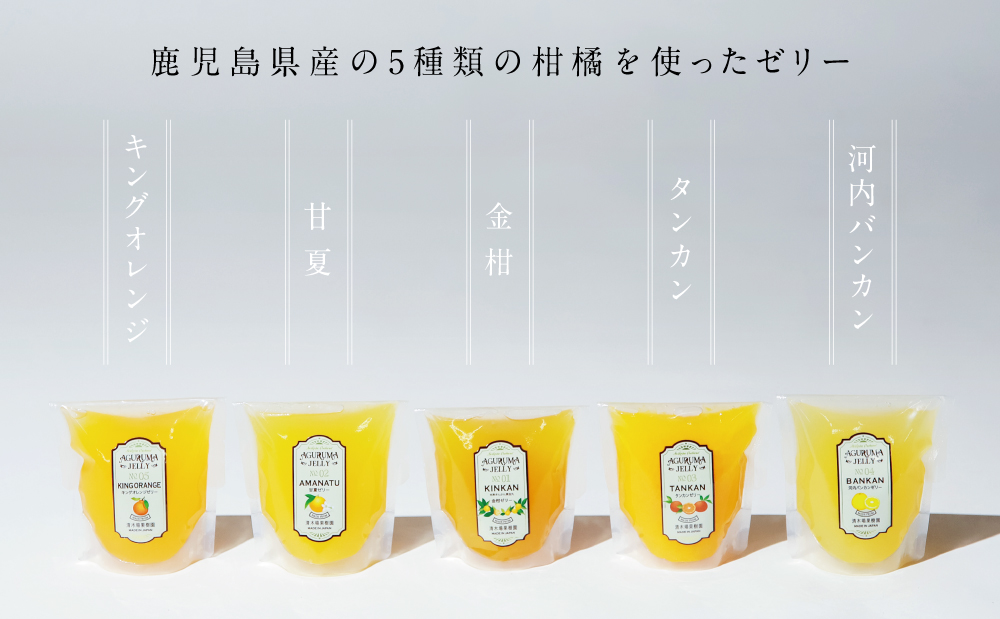 【鹿児島県産】柑橘フルーツゼリー 詰め合わせ 5種 常温 セット スイーツ お菓子 ギフト 贈り物 贈答用 詰合せ おすすめ お取り寄せ 果物 フルーツゼリー 清木場果樹園 鹿児島 南さつま市