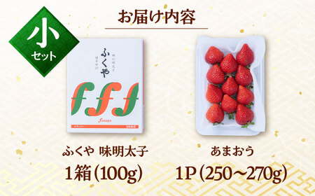 福岡産 あまおう ＆ ふくや 味の明太子【小】 桂川町/南国フルーツ株式会社 [ADBW001] あまおう 明太子 福岡 セット