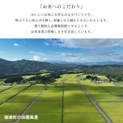 【令和7年産】福島県柳津町産「こしひかり」10kg〈2026年1月下旬発送予定〉