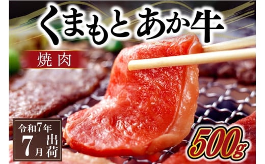 〈令和7年7月出荷〉熊本県産ＧＩ認証取得　くまもとあか牛（焼肉用５００ｇ）