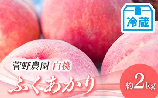 
                  【2026年出荷分先行予約】<冷蔵配送>福島県産 ふくあかり 約2kg (5～9玉) 菅野農園FruitsProvider 贈り物 贈答 ギフト 伊達の桃 桃 フルーツ 果物 もも モモ momo F21C-262
                