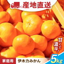 【ふるさと納税】＜先行予約＞伊木力みかん（家庭用） 5kg / みかん ミカン 蜜柑 mikan 柑橘 かんきつ フルーツ ふるーつ 果物 くだもの / 諫早市 / 山野果樹園 [AHCF002]