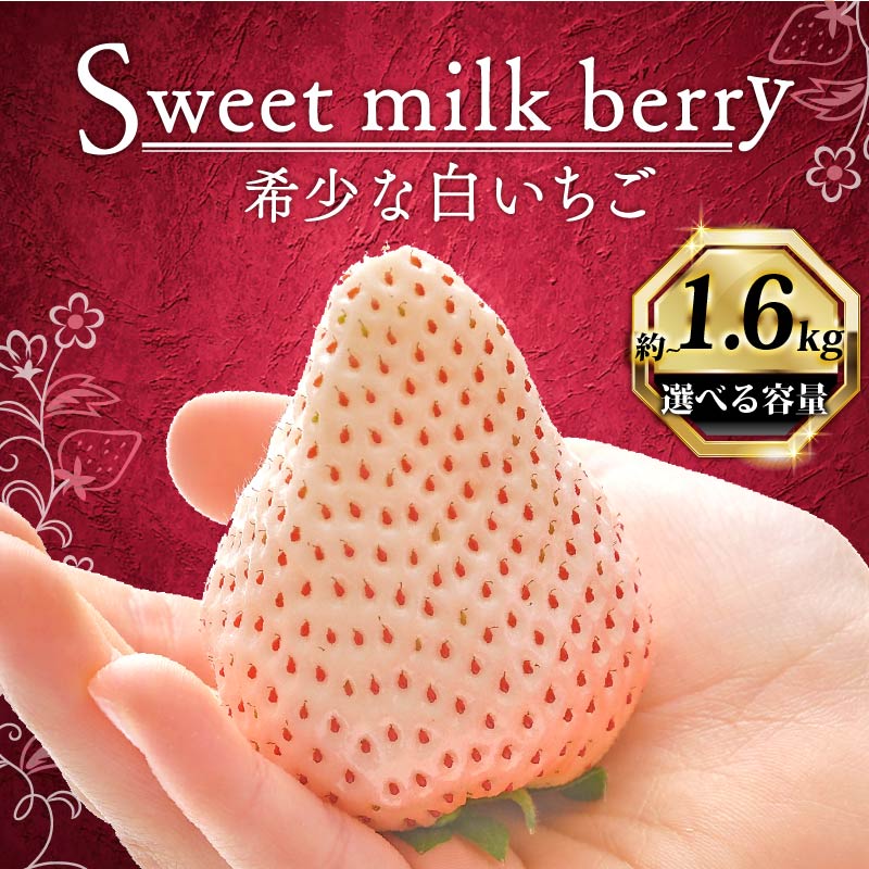 【ふるさと納税】 いちご 白いちご 計 400g~1.6kg 高級 白 イチゴ 苺 セット Sweet milk berry フルーツ 果物 ストロベリー 産地直送 国産 スイーツ デザート くだもの イチゴ 果物 贈答用 ギフト 畠農宝 静岡県 牧之原市