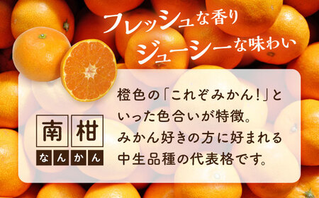 温州みかん 南柑 中生5kg みかん[XCE001]