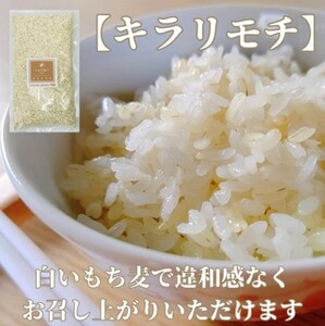 CI819_佐賀県産『もち麦』食べ比べ！キラリモチ３kg、ダイシモチ３kg（計６㎏）
