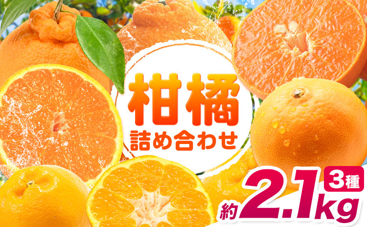 
            みかん 柑橘 詰め合わせ セット 約2.1kg(約700g×3袋)計3種入り【2026年先行予約】《2026年2月上旬-3月末頃出荷》和歌山県 紀の川市 ミカン 柑橘類 せとか 不知火 はるみ お取り寄せ フルーツ 果物
          