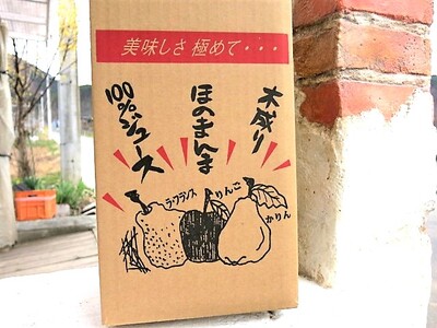 【２０２４年１月から発送】葉とらずサンふじと濃厚ラ・フランス１００％ジュース詰合せ　４本　0075-2315