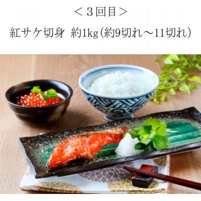 ふるさと納税 北山村 【毎月定期便】困った時の1品に!晩ご飯直行 絶品おかず定期便【tkb304】全4回 |  | 03