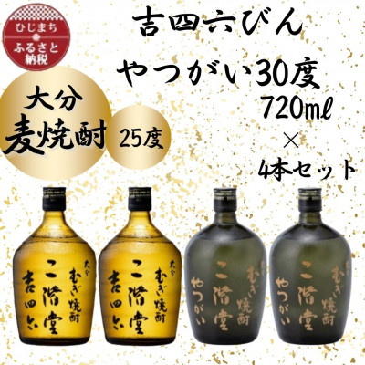 
大分むぎ焼酎　二階堂吉四六瓶25度2本とやつがい30度2本(720ml)4本セット【1455820】
