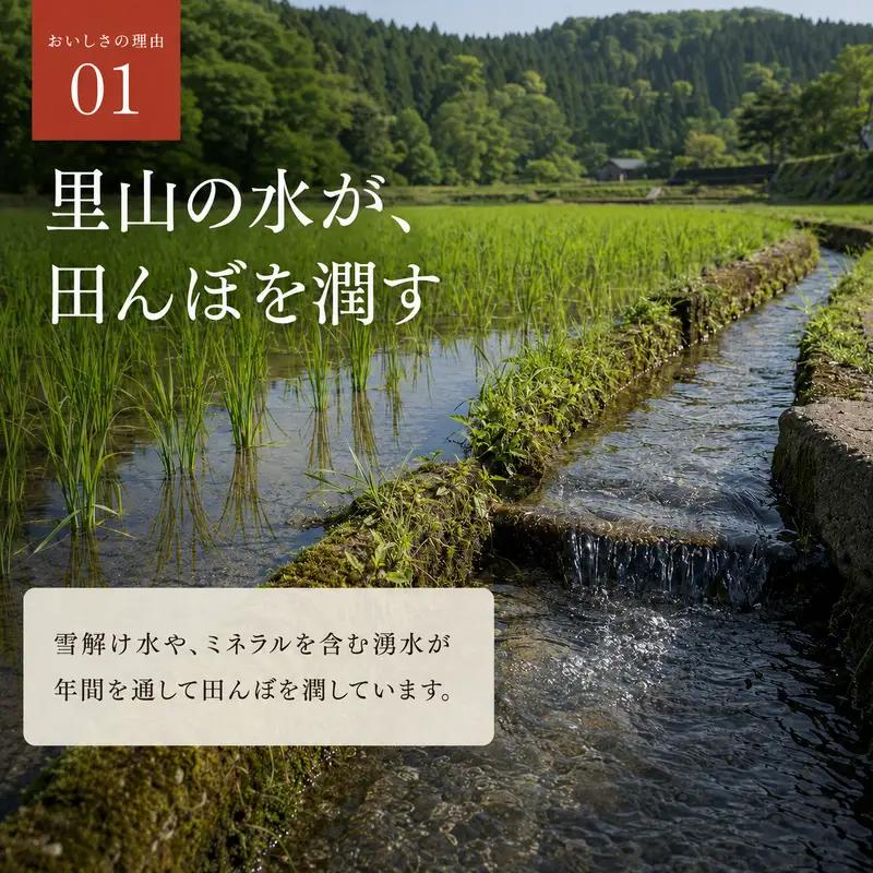 【先行予約】新米 コシヒカリ 20kg 秋山農場 コシヒカリ