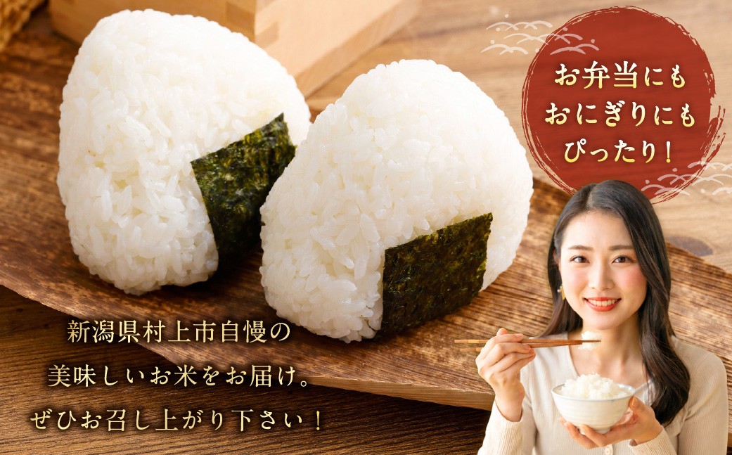 【令和7年産米】【定期便：3ヶ月連続でお届け】新潟県村上市岩船産 棚田米コシヒカリ「たかねの花」 5kg×3ヶ月