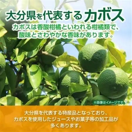 つぶらなカボス　はちみつ入り(30本)_大分  名産  特産品  つぶらなシリーズ  つぶらなかぼす  カボス  ギフト プレゼント ジュース  缶ジュース つぶ入り  大分県産  果汁飲料_【107