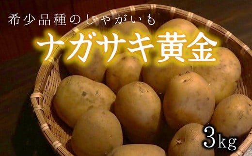 
            味が濃厚・希少品種のじゃがいも『ナガサキ黄金』３㎏
          