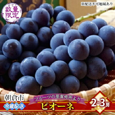【ふるさと納税】フルーツの里の直売所より ピオーネ【配送不可：離島】 果物 ぶどう 　お届け：2025年8月20日～9月10日